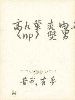 高h荤爽肉欲文〈np〉双男