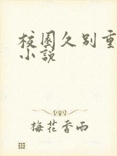 校园久别重逢的小说封面