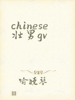 chinese壮男gv封面