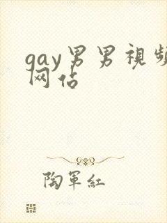 gay男男视频网站