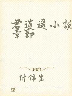 君逍遥小说最新章节封面
