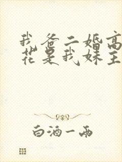 我爸二婚高冷校花是我妹主演封面