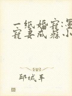 一纸婚宠:墨少宠妻成瘾小说
