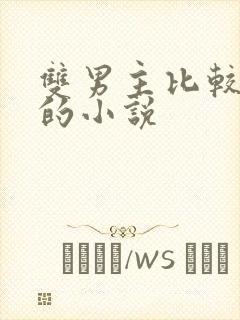 双男主比较好看的小说