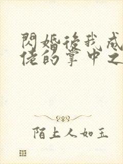 闪婚后我成了大佬的掌中之物原著