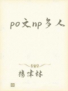 po文np多人封面