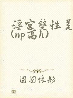淫宫双性美人录(np高h)