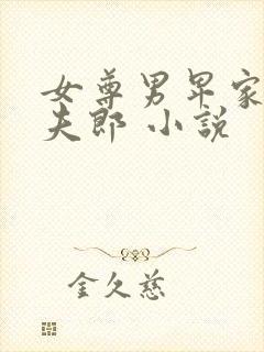 女尊男卑家有俏夫郎 小说