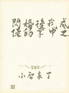 闪婚后我成了大佬的掌中之物宋察