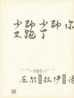 少帅少帅你老婆又跑了封面