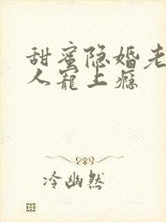 甜蜜隐婚老公大人宠上瘾