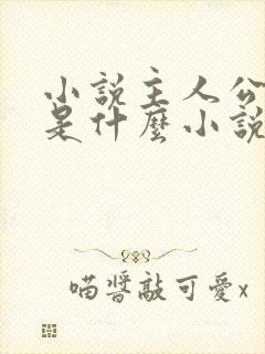 小说主人公陈枫是什么小说
