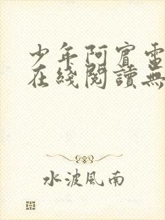 少年阿宾电子书在线阅读无删减