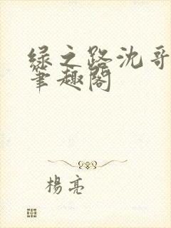 绿之路沈哥小说笔趣阁