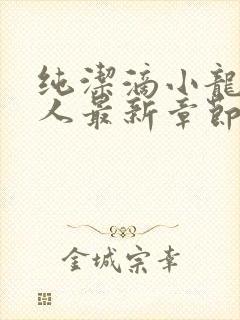 纯洁滴小龙捞尸人最新章节更新