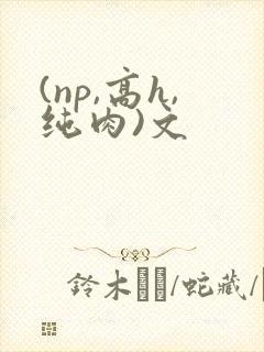 (np,高h,纯肉)文