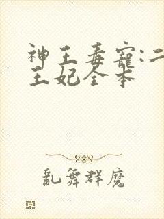 神王毒宠:二嫁王妃全本封面