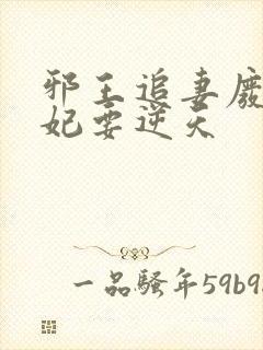 邪王追妻废材狂妃要逆天封面