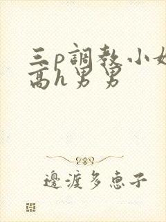 三p调教小嫩苞高h男男