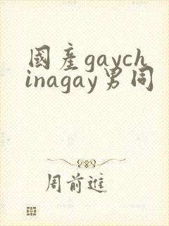 国产gaychinagay男同