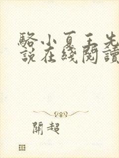 骆小夏王先生小说在线阅读