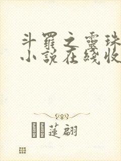 斗罗之灵珠神剑小说在线收听封面