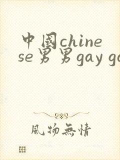 中国chinese男男gay gay激情av