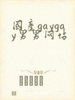 国产gaygay男男网站