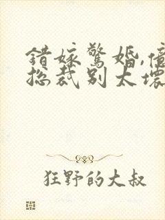 错嫁惊婚,亿万总裁别太坏