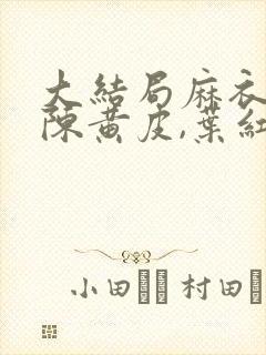大结局麻衣神婿陈黄皮,叶红鱼