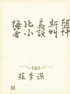 梅比乌斯堕落原著小说叫什么名字
