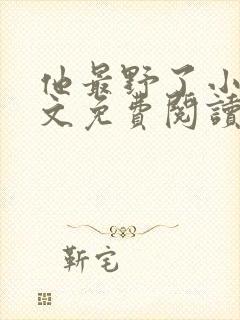 他最野了小说全文免费阅读