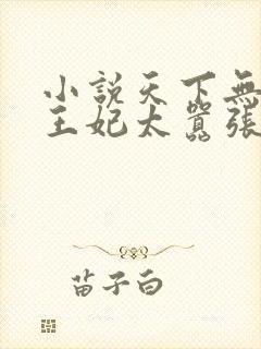 小说天下无双:王妃太嚣张更新封面