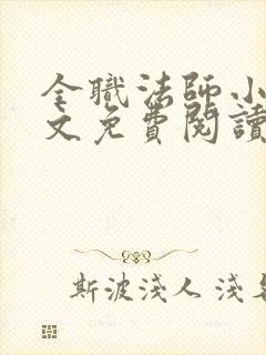 全职法师小说全文免费阅读无弹窗封面