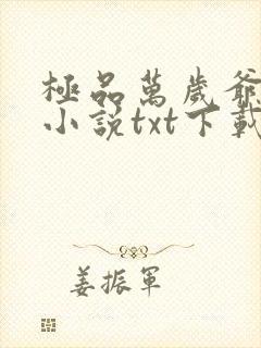 极品万岁爷妖刀小说txt下载