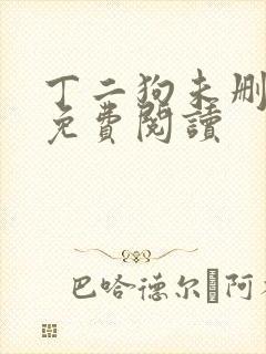 丁二狗未删减版免费阅读封面