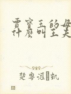贾宝玉的母亲为什么叫王夫人