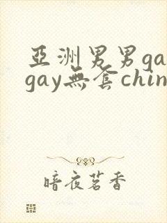 亚洲男男gaygay无套chinese