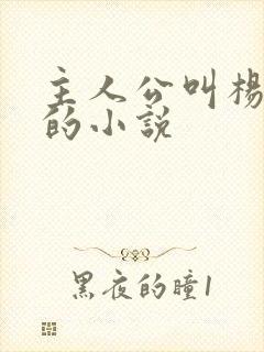 主人公叫杨小天的小说