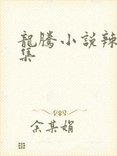 龙腾小说辣文合集封面