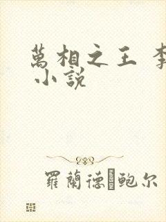 万相之王 李洛 小说
