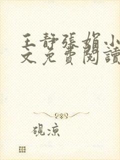 王静张娟小说全文免费阅读封面