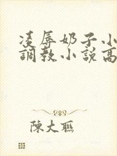凌辱奶子小说上调教小说高h