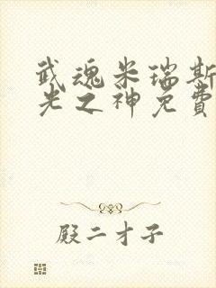 武魂米瑞斯我为光之神免费阅读