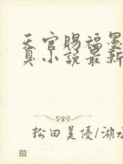 天官赐福墨香铜臭小说最新封面