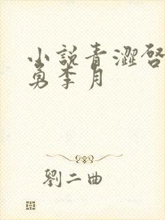 小说青涩启蒙张勇李月封面