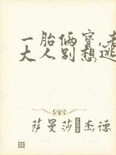 一胎俩宝,老婆大人别想逃全文免费