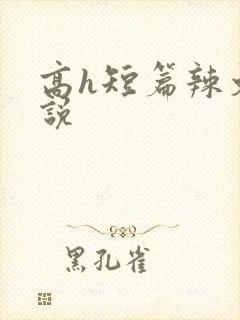 高h短篇辣文小说