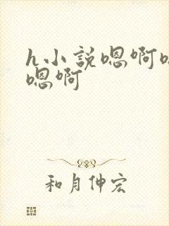 h小说嗯啊嗯啊嗯啊