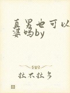 直男也可以当老婆吗by封面